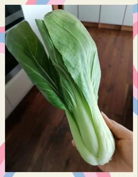 宝宝吃小白菜的好处_宝宝几个月可以吃小白菜