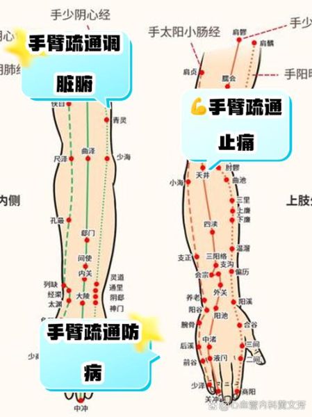 胳膊经络图片大全_胳膊经络堵塞怎么疏通