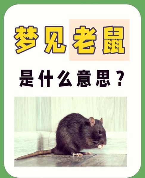 梦到小老鼠是什么意思_梦到小老鼠是吉是凶