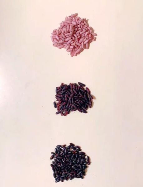 紫米图片大全_紫米长什么样