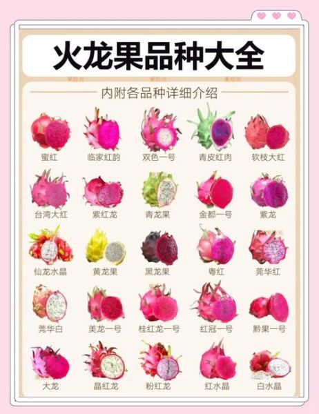 七个月宝宝能吃火龙果吗_火龙果怎么吃才安全