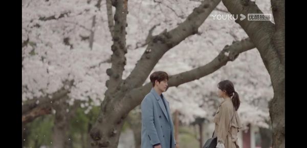 任意依恋迅雷下载_如何安全获取高清资源