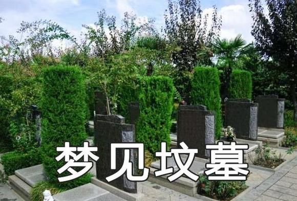 梦到挖地是什么意思_梦见挖土有什么预兆