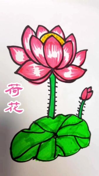 荷花怎么画_荷花简笔画步骤