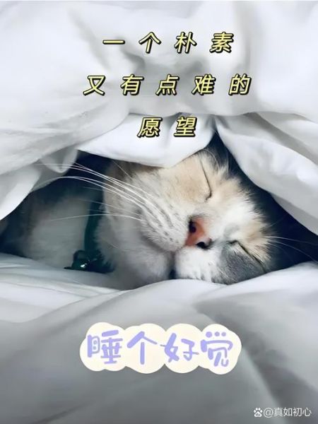 打瞌睡的图片大全_为什么一看就想睡