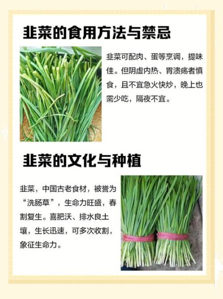 梦到买韭菜是什么意思_韭菜梦境解析