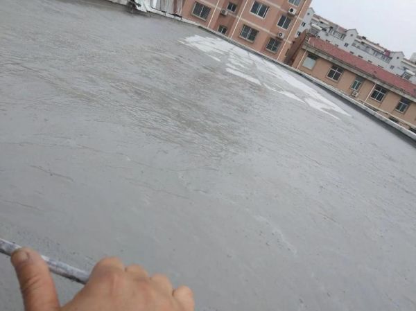 梦到在房顶写作_梦到在房顶写作预示什么