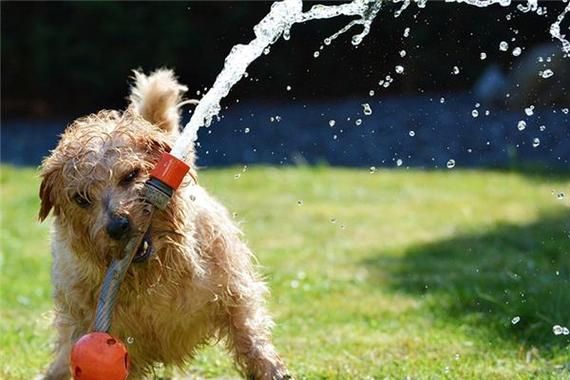 梦到汗毛长得特别长_周公解梦汗毛变长预示什么