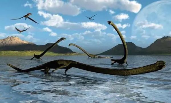 长颈龙图片大全_如何区分长颈龙与腕龙