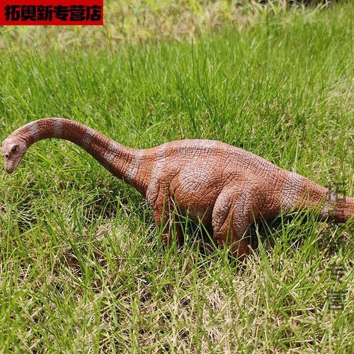 长颈龙图片大全_如何区分长颈龙与腕龙