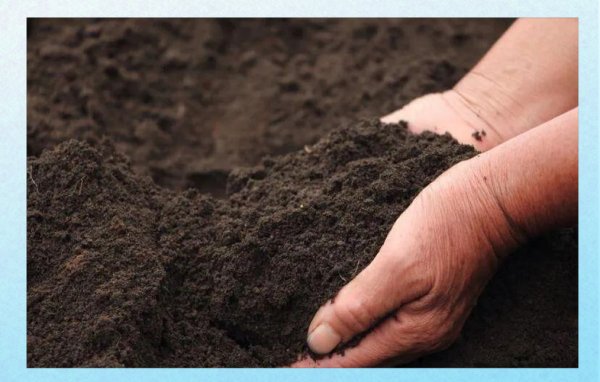 梦到泥土是什么意思_梦见泥土代表什么