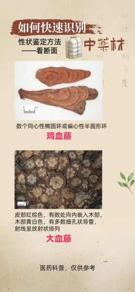 常见中药材图片大全_如何快速识别真假药材