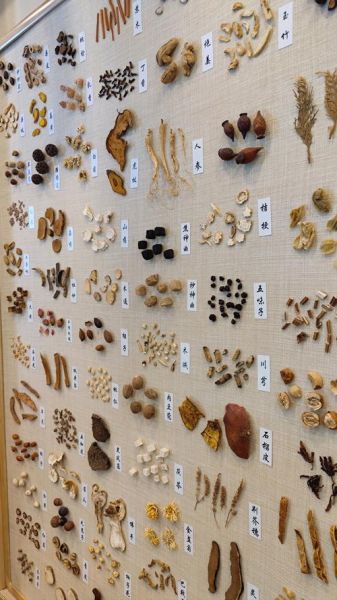 常见中药材图片大全_如何快速识别真假药材