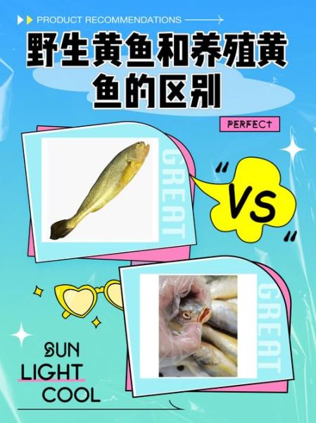 野生鱼图片大全_如何辨别野生鱼与养殖鱼