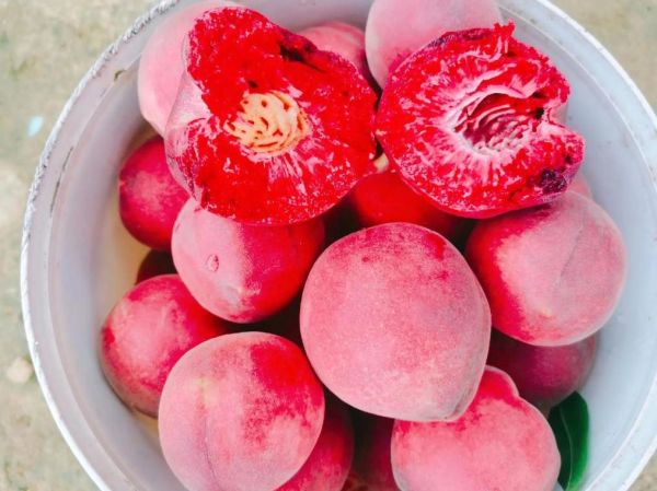 梦到桃子是什么意思_梦见桃子预示什么