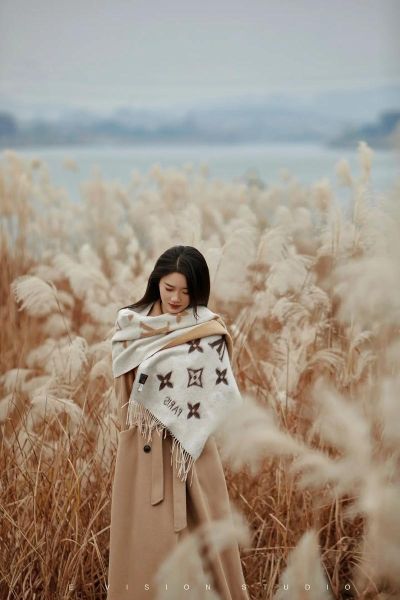 芦苇图片大全_如何拍摄出诗意芦苇