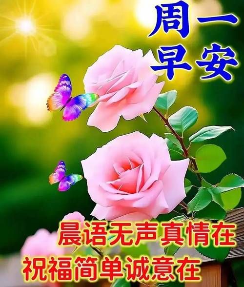周一祝福语图片大全_如何挑选最走心的早安图