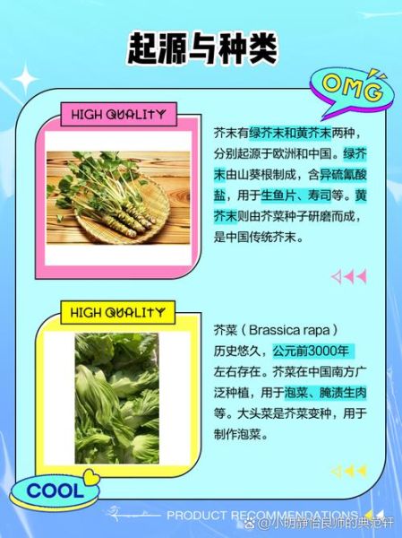 芥菜图片大全_芥菜品种怎么区分