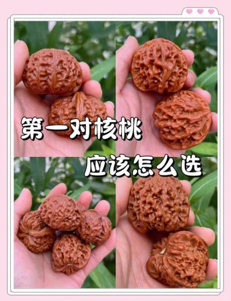 核桃图片大全大图_如何挑选高清核桃图