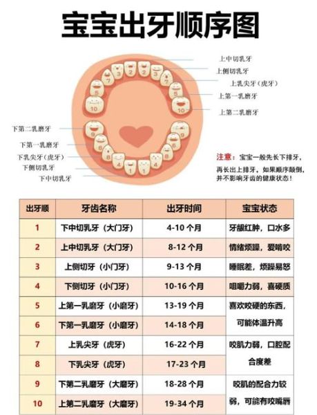宝宝不长牙齿是什么原因_宝宝几个月长牙算正常