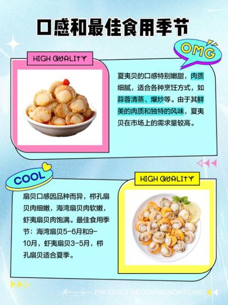 扇贝图片大全_扇贝种类怎么区分