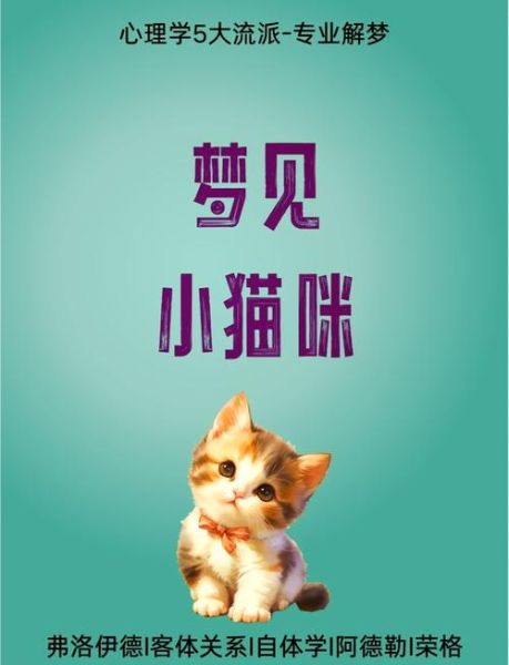 梦到一只小猫是什么意思_梦见小猫代表什么
