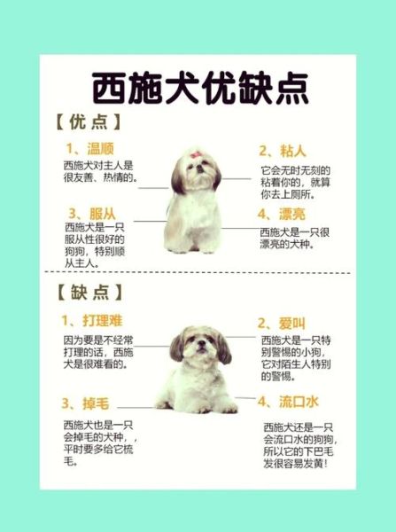 狮子宝宝性格特点_如何科学养育狮子宝宝