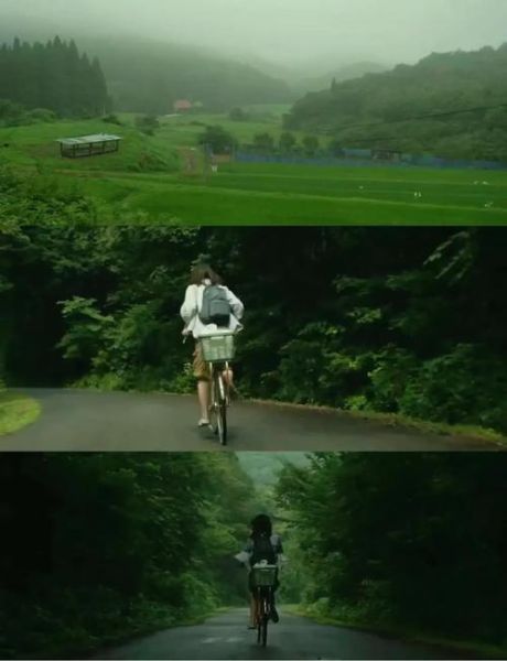 小森林迅雷下载_哪里找高清资源