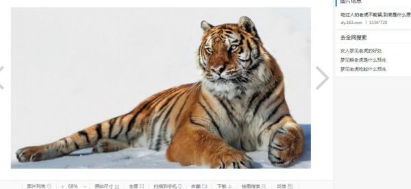 梦到老虎要吃我_梦见老虎扑过来咬我怎么办