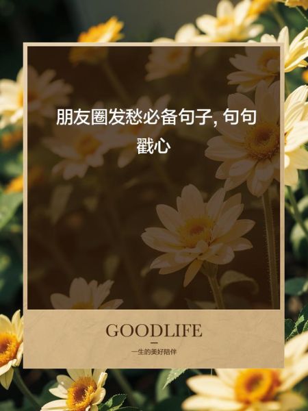 朋友圈配图怎么选_适合发朋友圈的图片有哪些