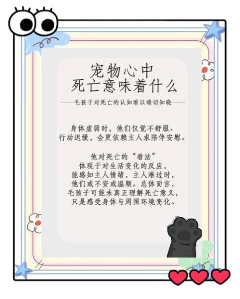 梦到宠物死了是什么意思_如何缓解梦境焦虑
