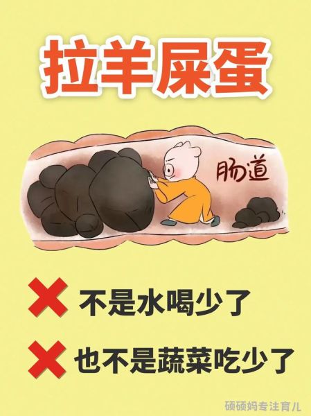 宝宝拉羊屎豆是积食吗_怎么调理