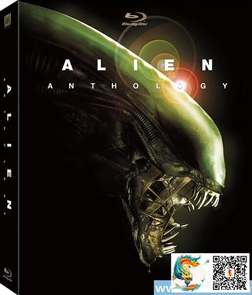 叶问3迅雷下载_如何安全获取高清资源