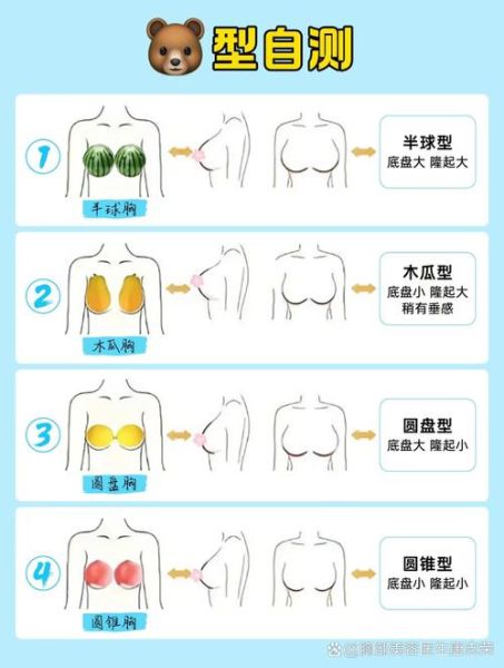 乳房形状有几种_怎么判断自己胸型