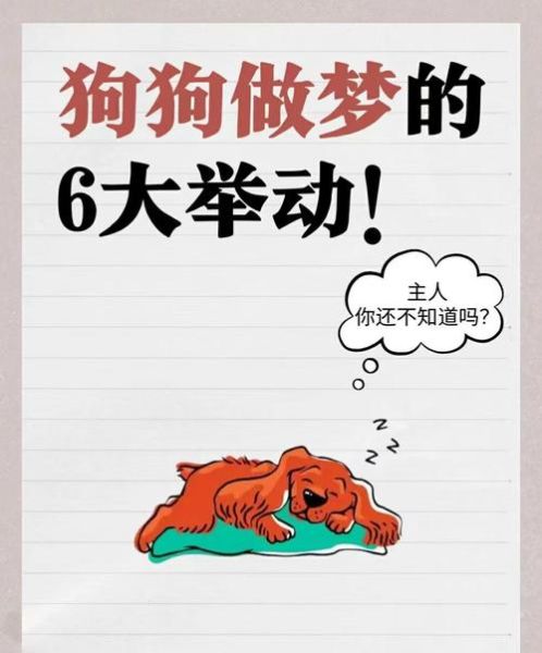 梦到狗是什么意思_梦到狗咬我预示着什么