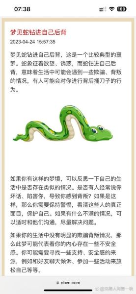 梦到一堆蛇是什么意思_梦见很多蛇代表什么