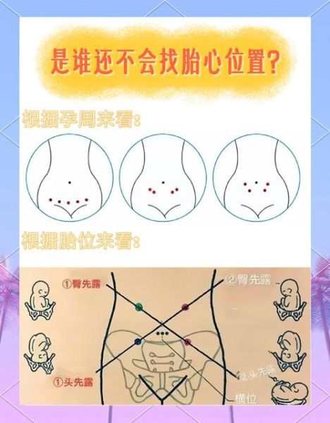 女宝宝胎心一般是多少_正常范围是多少