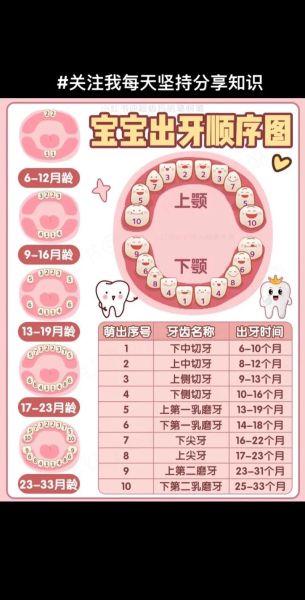 宝宝几个月出牙正常_乳牙萌出顺序