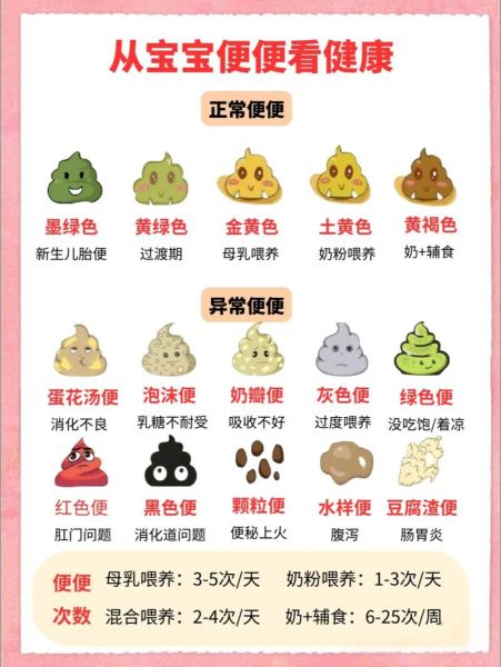 宝宝拉屎视频正常吗_如何分辨异常信号