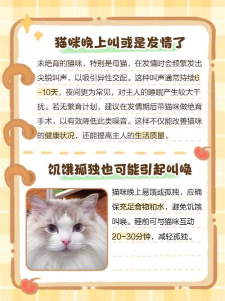 梦到猫是什么意思_梦见猫攻击我怎么办