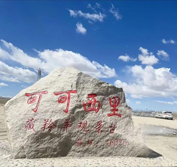 可可西里迅雷下载_如何找到高清资源