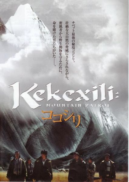 可可西里迅雷下载_如何找到高清资源