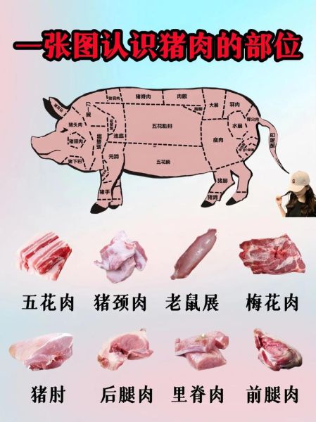 肉图片大全_肉类高清图怎么找