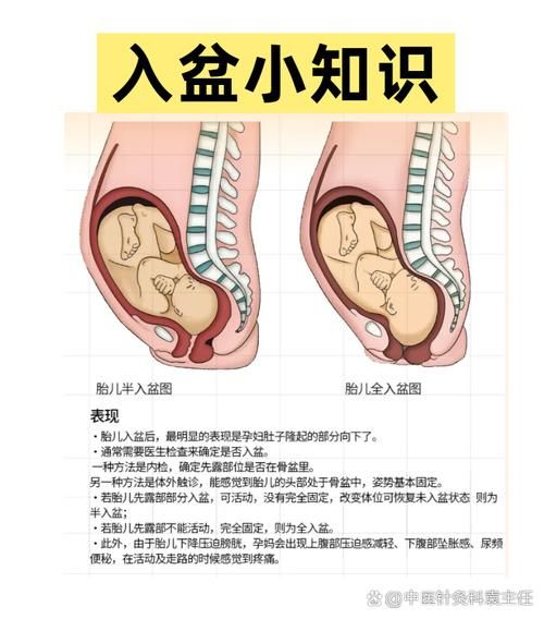 宝宝一般多少周入盆_入盆后多久会生