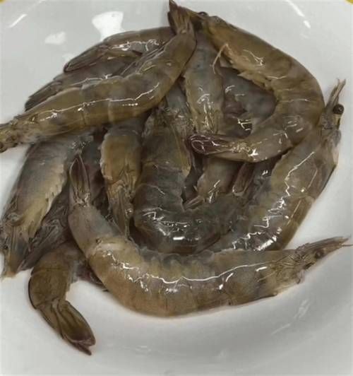 虾图片大全_如何挑选高清虾图