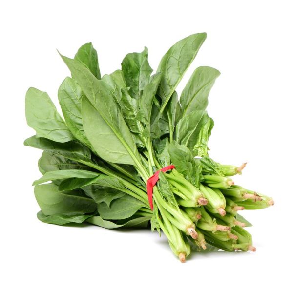 菠菜图片大全_菠菜怎么挑选新鲜