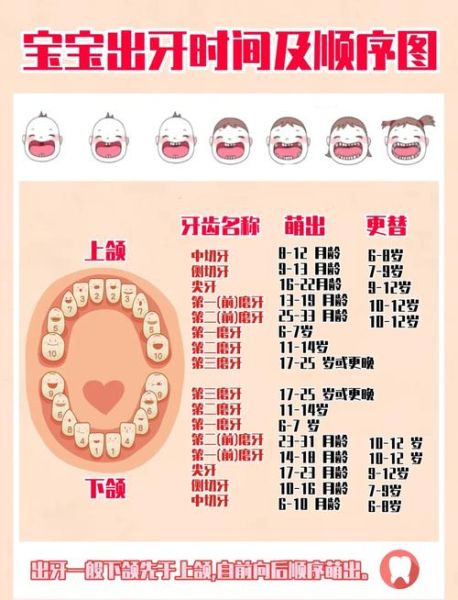 宝宝几个月开始长牙_宝宝长牙顺序图