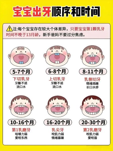 宝宝几个月开始长牙_宝宝长牙顺序图