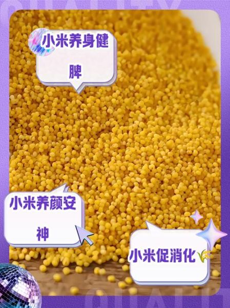 梦到小米是什么意思_梦见小米是吉兆吗