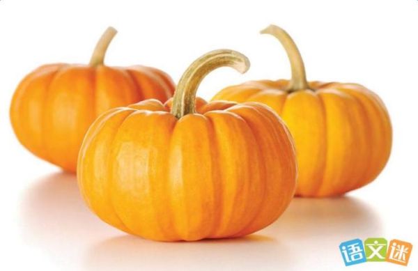 梦到南瓜是什么意思_孕妇梦见南瓜生男生女